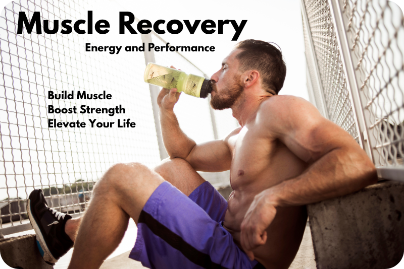 Muscle Recovery - What Do You Need Help With